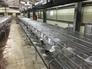 新竹鋁門窗 推薦 陽台凸窗 價格 鼎 揚 鋼 鋁 門窗 新竹鋁門窗 新竹鋁門窗推薦 竹 北 鋁門窗 陽台遮雨棚 陽台凸窗價格 陽台鋁門窗價格 雨遮材質 竹北鋁門窗 玻璃屋價格 陽台 鋁門窗價格 鋁雨遮 鋁合金雨棚 新竹採光罩 雨遮 材質 大門 款式價格 裝鋁窗價格 鋁門窗修繕 氣密 窗 維修 強化玻璃採光罩價格 浴室門款式 採光罩材質價格 鋁門窗 價格 廁所門款式 凸窗 玻璃採光罩缺點 浴室門 陽台遮陽板施工 雨遮樣式 鐵窗價格 廁所門 款式 pc板雨遮 採光罩樣式 大門鋁門價格 採光罩材質 價格 浴室鋁門 擋雨板 遮雨板 玻璃採光罩 缺點 pc板 雨 遮 南方松缺點 pc板採光罩 鋁 雨遮 採光罩材質ptt 鋁合金 遮 雨 棚 廁所 鋁門款式 陽台採光罩 pc中空板缺點 鋼鋁門窗 遮 雨 棚 樣式 大門款式價格 採光罩遮陽簾 浴室 鋁門 裝遮雨棚價錢 陽台 落地窗 價格 採光罩 玻璃種類 陽台採光罩樣式 修理 鋁門窗價格 鋁 塑 板採光罩 優 缺點 不銹鋼遮雨棚 新竹墜樓 南方松 缺點 隔音氣密窗價格 遮雨棚 浴室門哪裡買 廁所門價格 採光罩材質 發泡門 陽台遮雨棚價格 玻璃雨遮 採光罩玻璃種類 採光罩材質 ptt pc板採光罩缺點 陽台遮陽板 大門 鋁門價格 新竹 墜 樓 鋁門窗維修 陽台鋁窗價格 鋁門窗價格 採光罩顏色 浴室門 推薦 採光罩價格一坪多少 氣密窗維修 格子窗 優 缺點 浴室門片 鋁合金遮雨棚 遮雨棚材質 陽台擋雨板